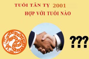 Các tuổi hợp làm ăn, kết hôn với nam 2001 mệnh gì
