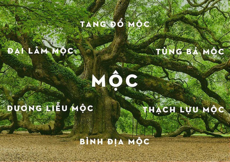 Cách bố trí màu nâu hợp phong thủy