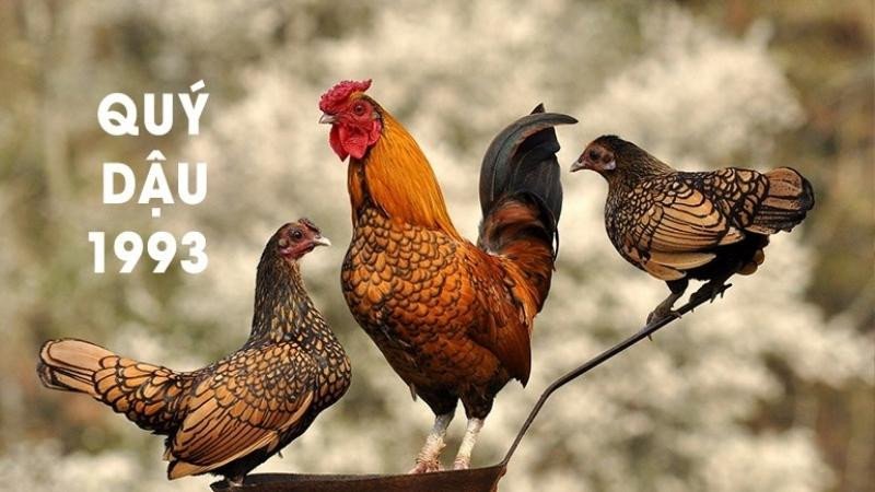 Cách hóa giải hạn Tam Tai cho tuổi Quý Dậu