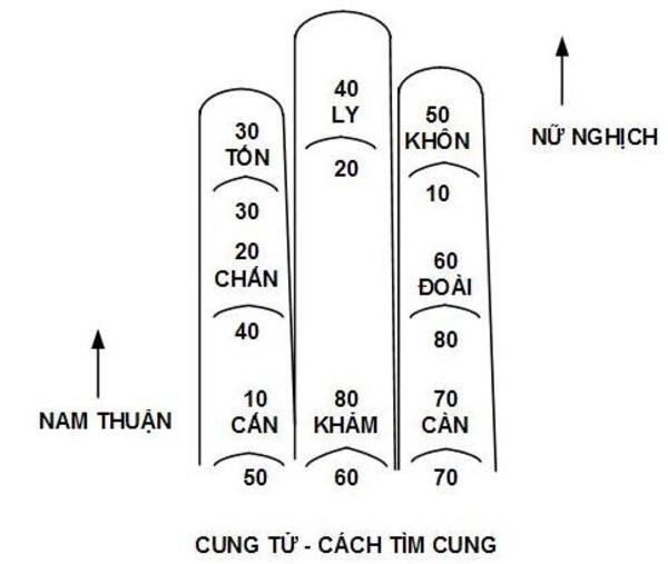 cách tính cung người chết bằng bàn tay
