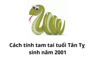 Cách tính hạn tam tai của tuổi Tân Tỵ 2001