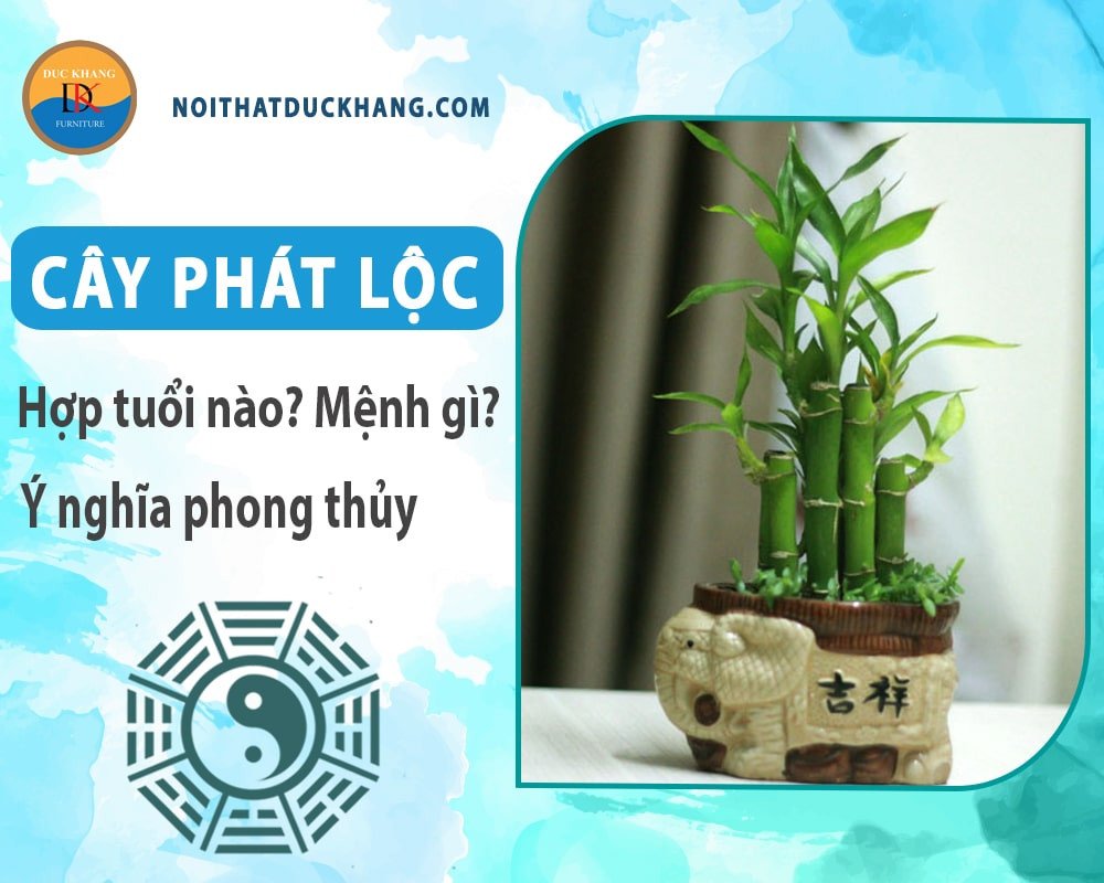Cận cảnh những bông hoa phát lộc trắng tinh khôi nở thành chùm