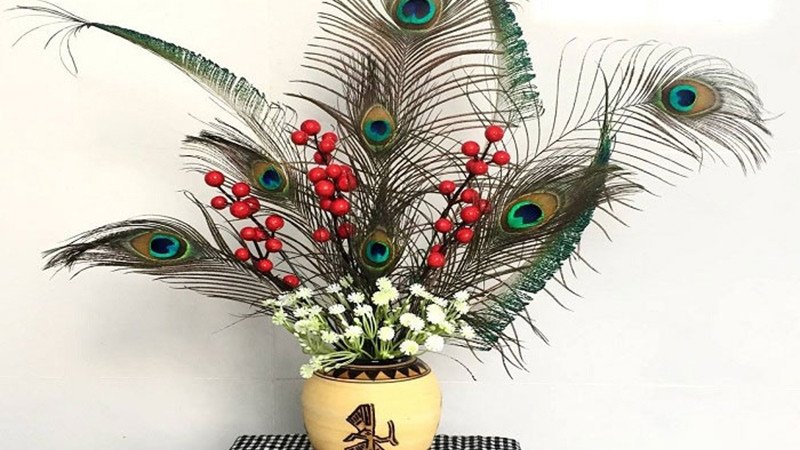 Cành lông công lấp lánh mang lại tài lộc và may mắn cho gia chủ theo phong thủy