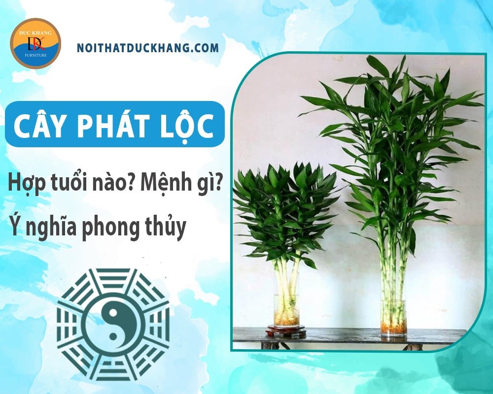 Cây phát lộc đặt trên bàn thờ gia tiên, mang lại bình an cho gia đạo