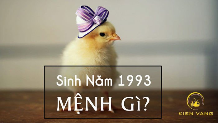 Chân dung nam 30 tuổi Quý Dậu với phong thái tự tin và quyết đoán