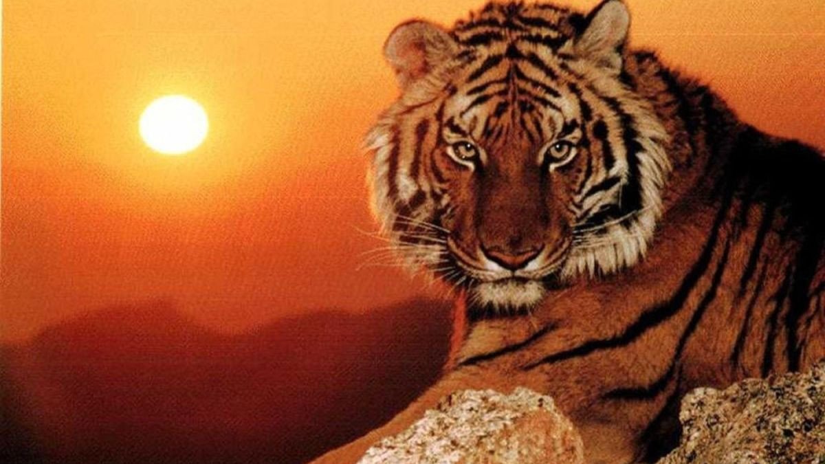 Chân dung nam giới thể hiện sự quyết đoán, phản ánh tính cách nam Giáp Dần 1974.