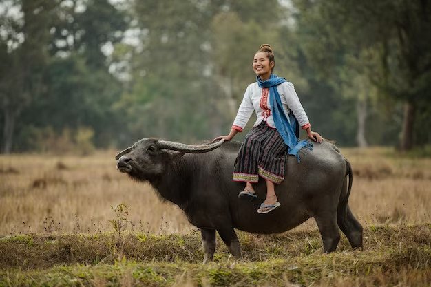 Chân dung người phụ nữ thể hiện sự năng động và dịu dàng của nữ sinh năm 1997