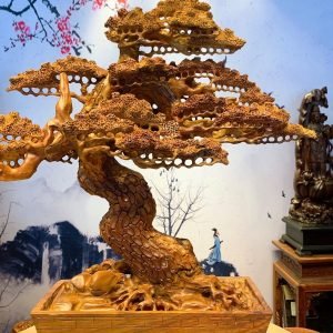 Tiểu cảnh gốc cây tùng bằng gỗ hương đẹp
