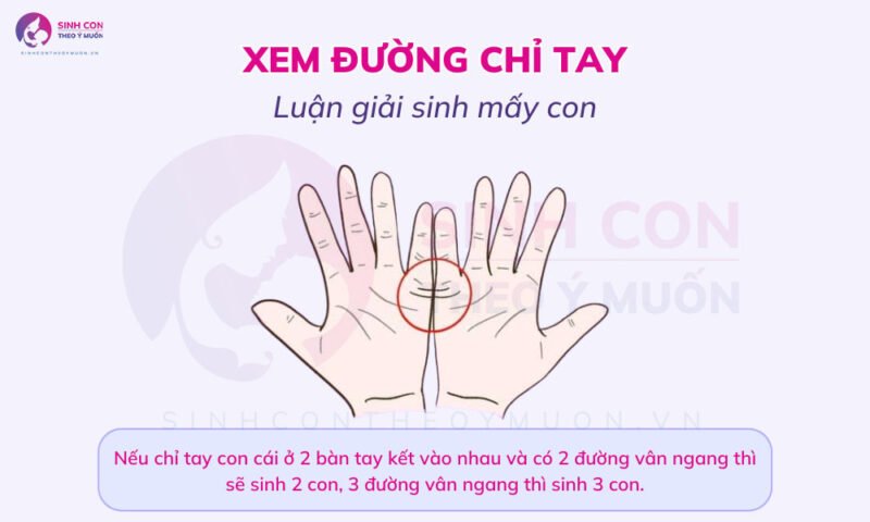 Chỉ tay con cái: Luận giải số lượng và giới tính con cái trong tương lai