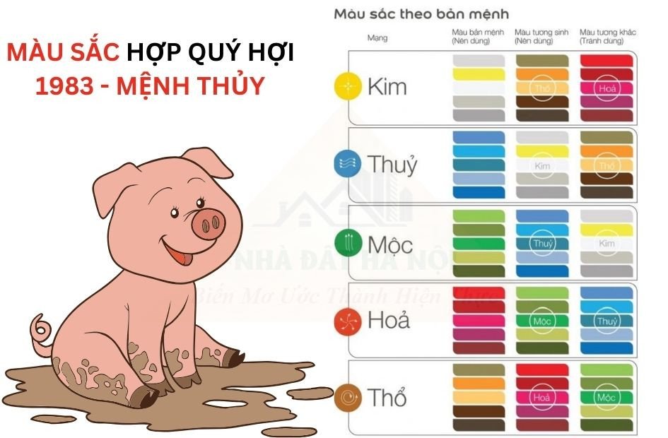 Chọn màu xe hợp phong thủy cho tử vi tuổi Quý Hợi 1983
