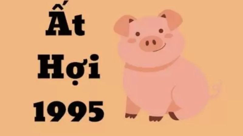 Con giáp của nam sinh năm 1995 là Ất Hợi