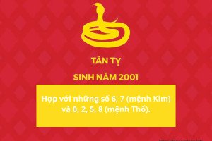 Con số may mắn cho nam Tân Tỵ sinh năm 2001
