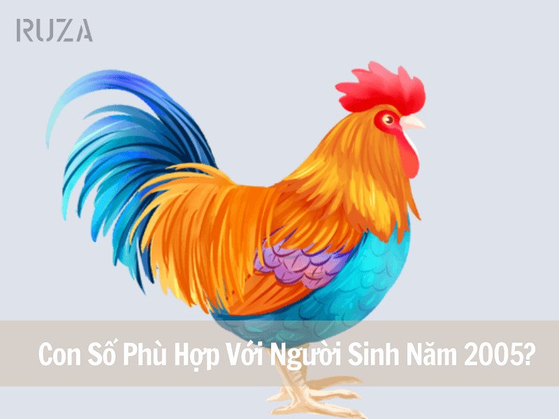 Con số may mắn cho Nữ Ất Dậu 2005