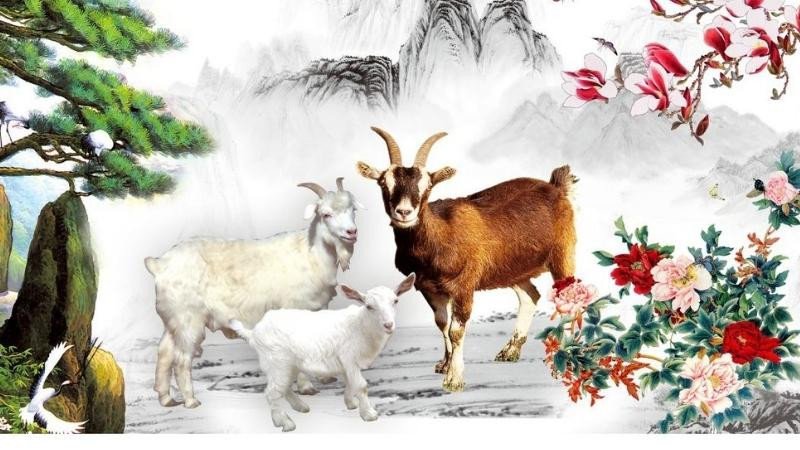Con số may mắn của Quý Mùi, hỗ trợ vận trình tốt đẹp