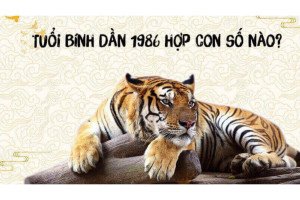 Con số may mắn nam Bính Dần 1986