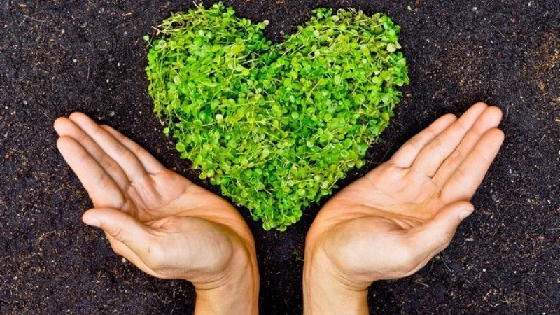 Cung hoàng đạo Song Ngư và các hoạt động xã hội, thiện nguyện