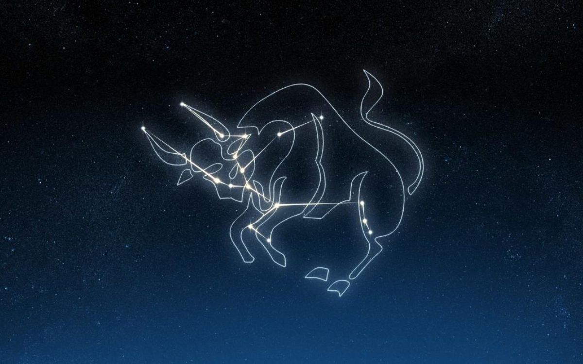 Cung Kim Ngưu trong tiếng Anh là Taurus, đại diện cho sự kiên định và yêu cái đẹp