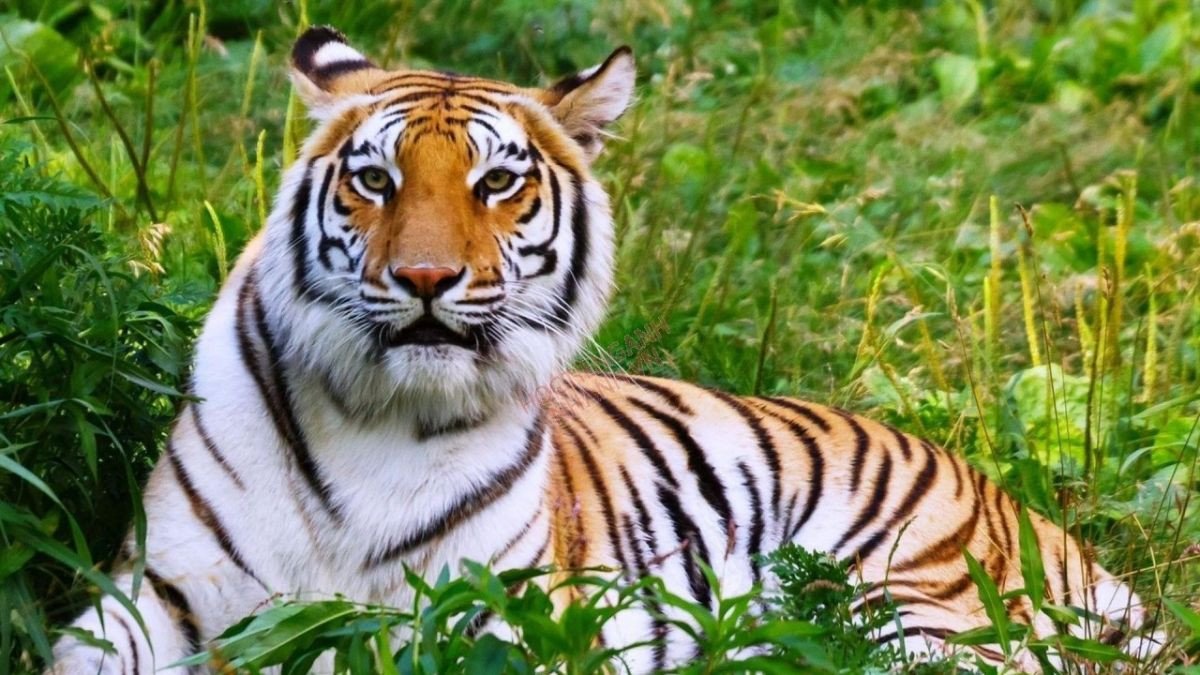 Cung mệnh của nam và nữ sinh năm 2022