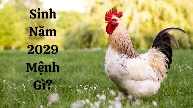 Cung mệnh của nam và nữ sinh năm 2029 Kỷ Dậu