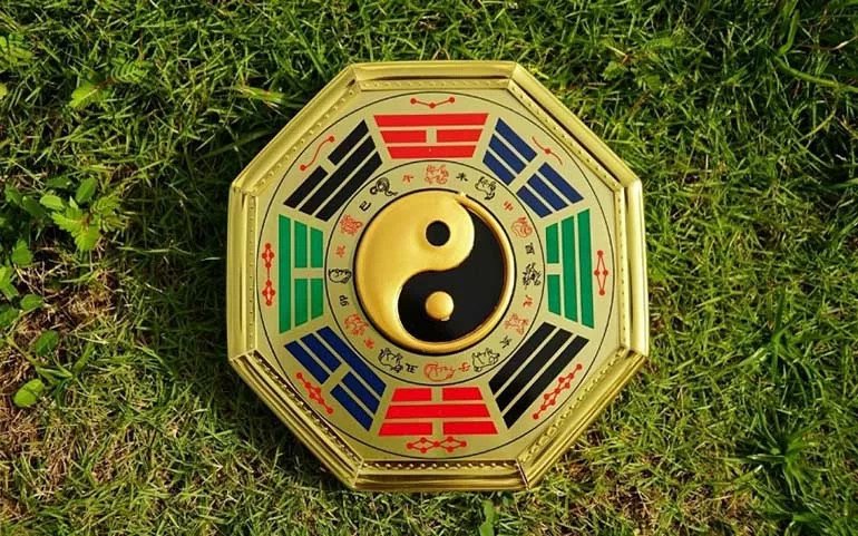 Cung mệnh của Tân Hợi 2031