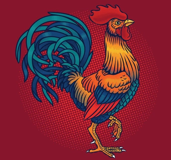 Cung mệnh người sinh năm 2029 và các mối quan hệ phong thủy