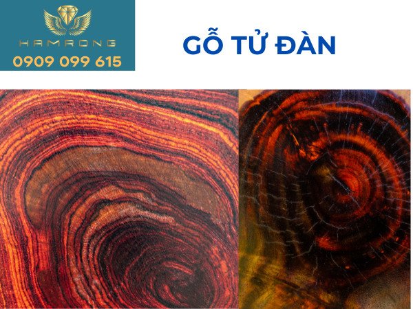 Đặc điểm nhận biết gỗ Tử Đàn thật