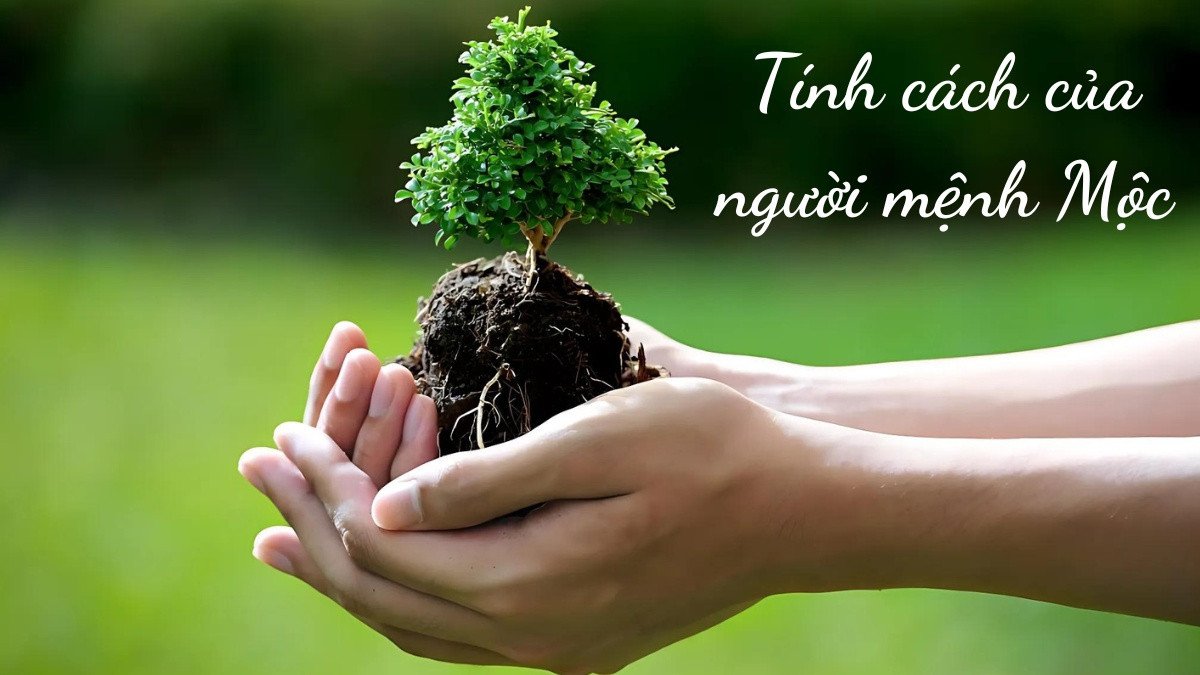 Đặc điểm tính cách của người mệnh Mộc: ưu điểm và nhược điểm