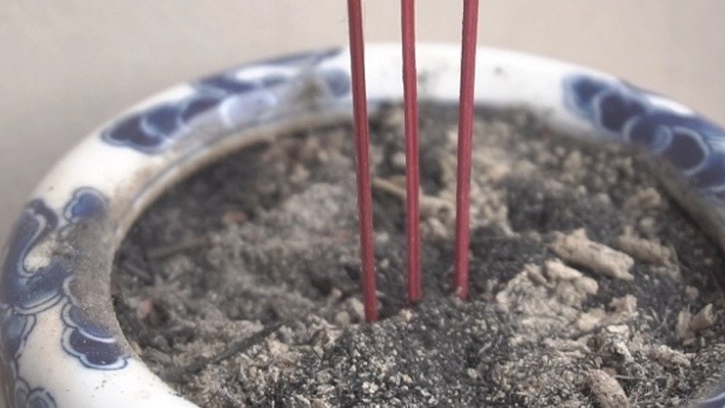 Đảm bảo giữ lại số lẻ chân nhang đẹp nhất theo phong thủy khi tỉa