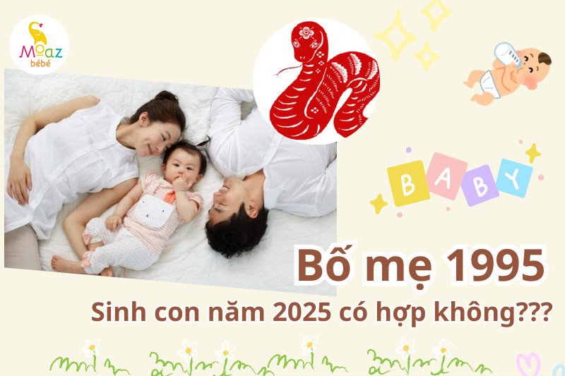 Đánh giá mức độ tuổi Hợi đẻ con tuổi gì hợp qua sự tương hợp giữa Ất Hợi 1995 và Ất Tỵ 2025 theo ngũ hành.