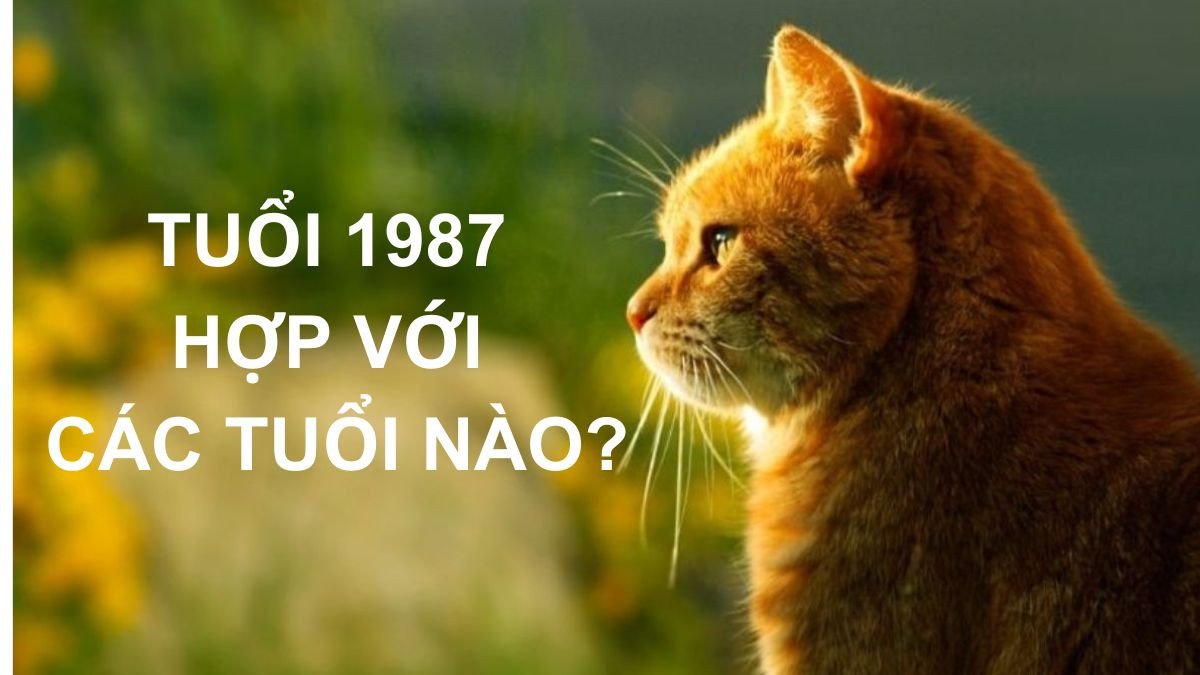 Danh sách các tuổi tương hợp và tương khắc với người sinh năm 1987 mệnh gì tuổi gì.