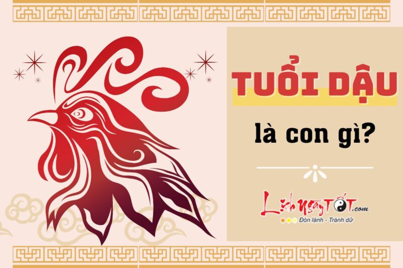 Dậu là tuổi con gì - Hình ảnh con gà trống oai vệ, biểu tượng của tuổi Dậu