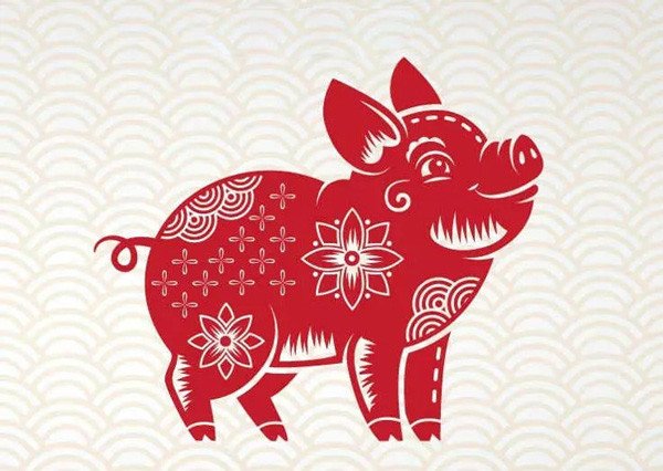 Để biết tuổi Hợi hợp hướng nào một cách cụ thể cần xét thêm cả yếu tố giới tính và năm sinh