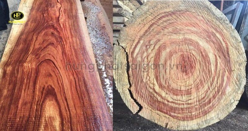 Đường vân gỗ hương vân độc đáo và tinh xảo