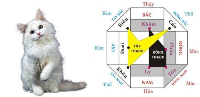 Gia chủ sinh năm 1999 chọn hướng nhà phù hợp mang lại may mắn