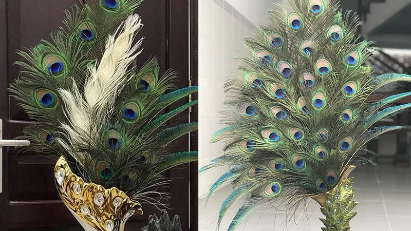 Giá lông công thay đổi tùy theo độ dài và kích thước mắt lông trên thị trường