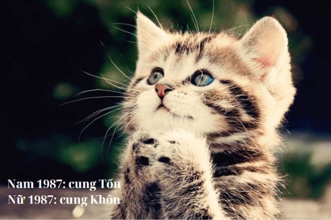 Giải mã cung hoàng đạo cho người sinh năm 1987 theo Bát Trạch