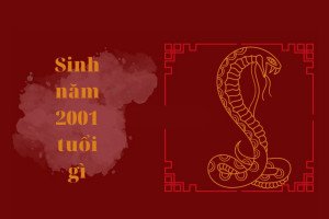 Giải mã tuổi Tân Tỵ 2001 nam