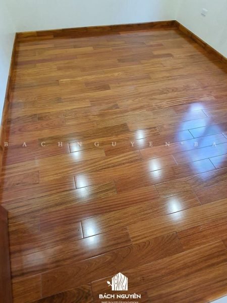 Gỗ bách xanh là gỗ gì với vân gỗ độc đáo và màu sắc tự nhiên đặc trưng