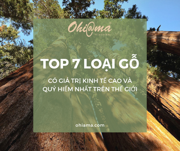 Gỗ Lignum Vitae một trong những loại gỗ cứng nhất thế giới với màu sắc và vân gỗ đặc trưng