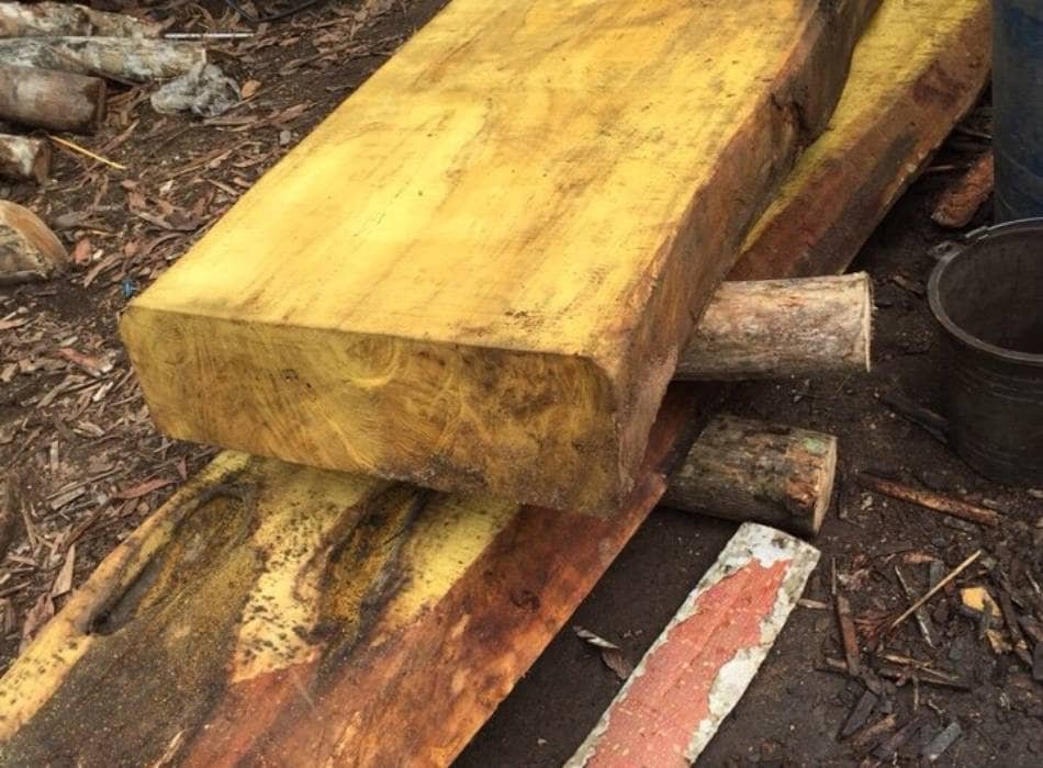 Gỗ Mít Là Gỗ Gì? Ưu Điểm Và Ứng Dụng Của Gỗ Mít