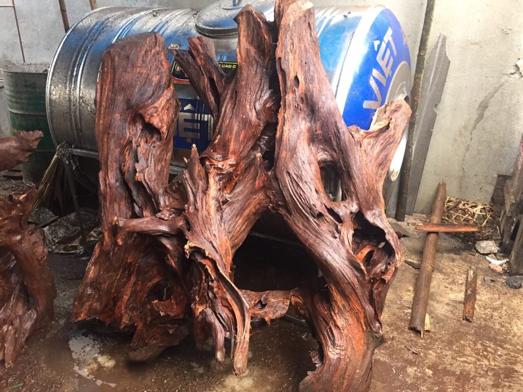 Gỗ Am Là Gỗ Gì? Đặc Điểm và Công Dụng Của Loại Gỗ Này