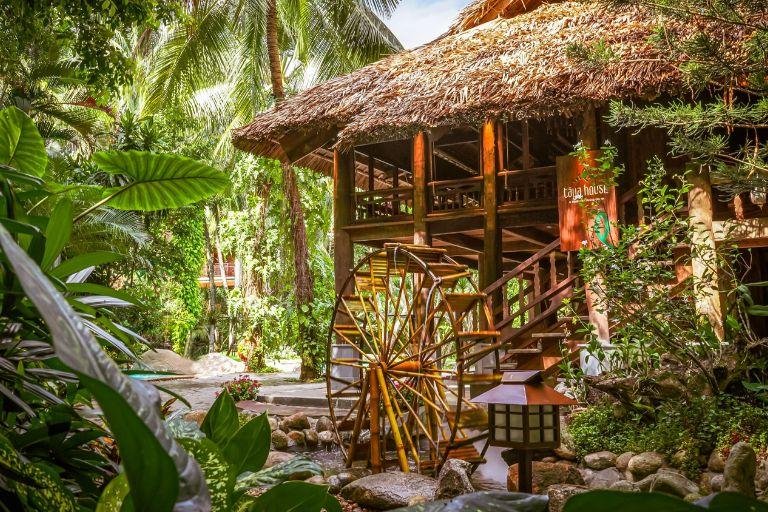 Cận cảnh vân gỗ nu huyết rồng độc đáo với màu sắc đỏ tự nhiên và hoa văn uốn lượn tuyệt đẹp