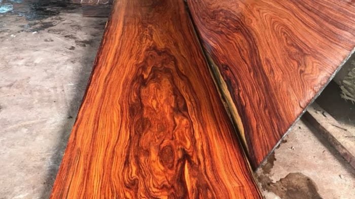 gỗ trắc là gỗ gì