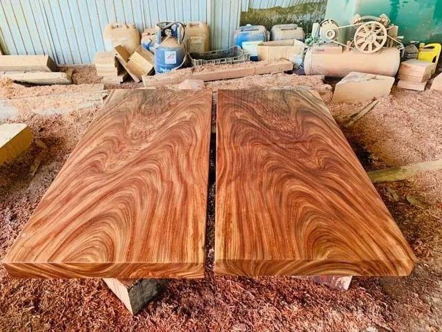 Gỗ Vĩnh là gỗ gì đặc điểm nhận biết gỗ có độ bền vượt trội với vân gỗ đẹp mắt