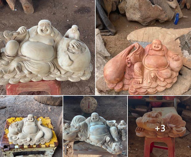 Gỗ Xá Xị (Gù Hương) Là Gỗ Gì? Thuộc Gỗ Nhóm Mấy , Giá Bao Nhiêu?