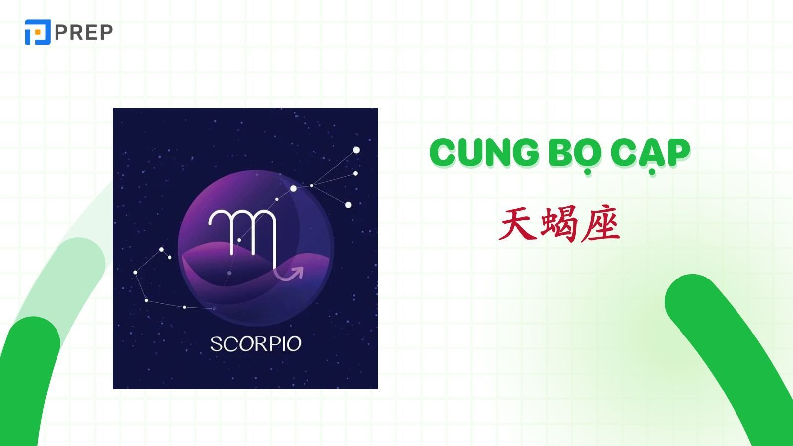Hình ảnh bí ẩn của cung Bọ Cạp và những tính cách sâu sắc của chòm sao.