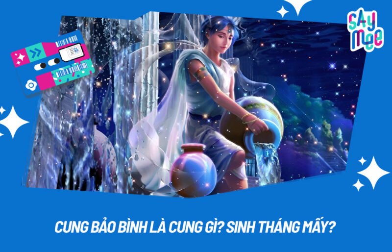 Hình ảnh biểu tượng cung Bảo Bình với người mang nước và chòm sao trên bầu trời, thể hiện sự trí tuệ và độc lập của cung khí.
