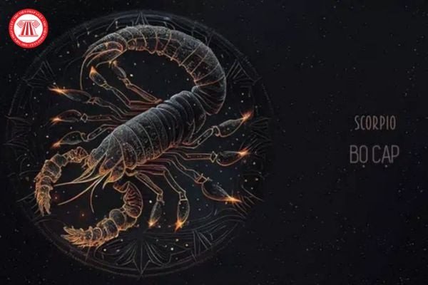 Hình ảnh biểu tượng cung hoàng đạo Thiên Yết và Nhân Mã, giải đáp 22/11 cung hoàng đạo gì và ý nghĩa của ngày sinh giao thoa.