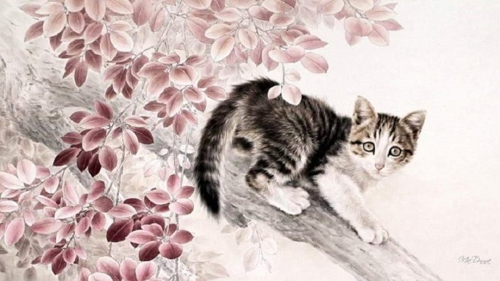 Hình ảnh con mèo tượng trưng cho năm Quý Mão 2023, giải đáp tuổi Mão mệnh gì