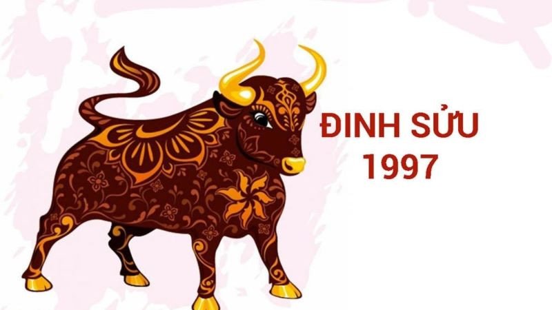Hình ảnh con trâu, biểu tượng cho người sinh năm 1997 tuổi Đinh Sửu mệnh gì hợp màu gì